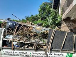 Best Basement Cleanout  in Ojus, FL