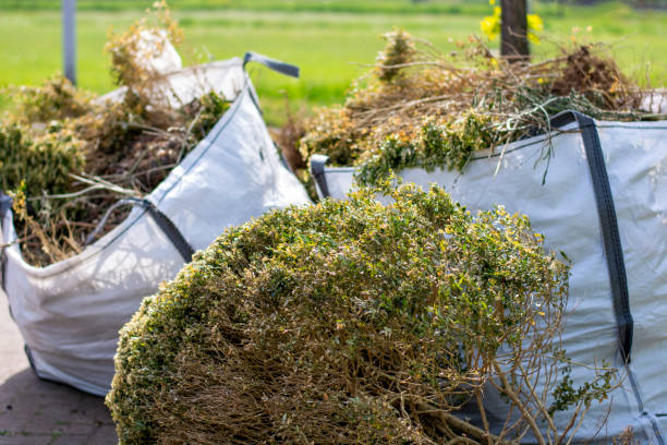 Best Yard Waste Removal  in Ojus, FL